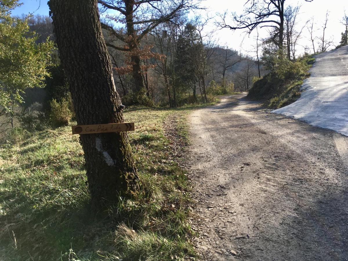 Can Poca Roba San Pedro de Torelló Zewnętrze zdjęcie